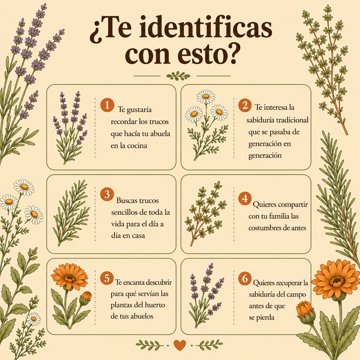 "Libro 150 Remedios y Trucos del Campo de Encarna"
